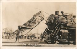 Giant Grasshopper Stops Train - The Train Hold-Up Postcard