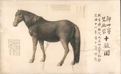 Chinese: Lang Shining's Ten Steeds, National Palace Museum 1929 Postcard