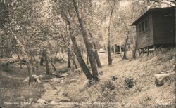 Mountain Stream Running Through McLaughlin's Lodge Postcard