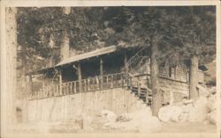 Gray's Camp Cabin Postcard
