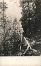 Ruby Creek Trail with person on wooden walkway Postcard