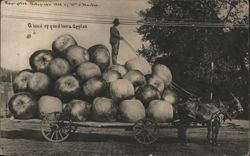 Load of good Iowa apples on horse-drawn wagon Postcard