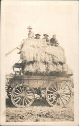 Four Men on Hay Wagon Postcard
