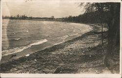 Windy Lake Shore with Trees Postcard