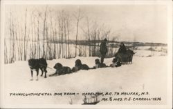 Transcontinental Dog Team - Hazelton, BC to Halifax, NS Postcard