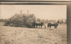 Haymaking in Ohio July 1916 Postcard