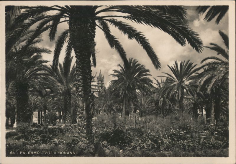 Palermo, Villa Bonanno, Palm Trees Italy