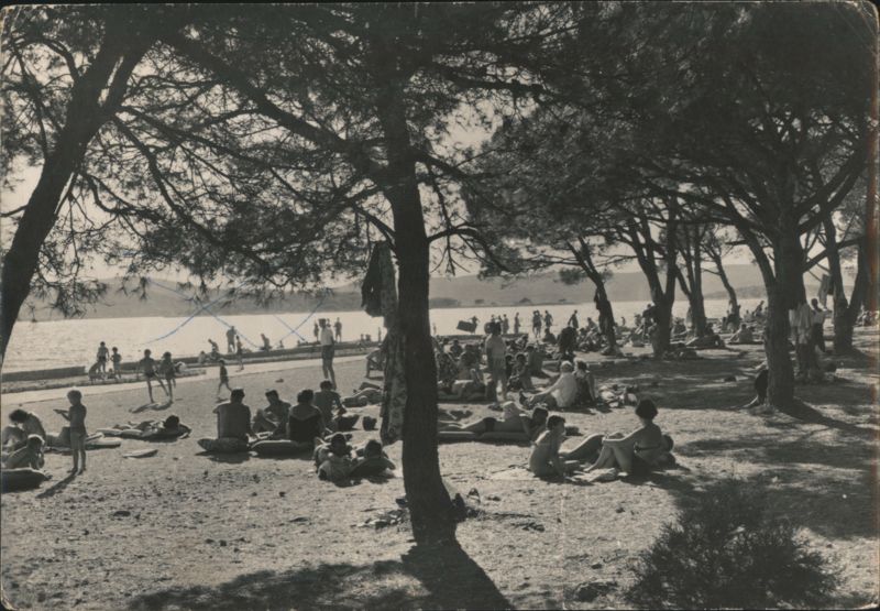 Beach at Biograd na Moru, Dražica Croatia Eastern Europe