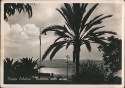Reggio Calabria - Tramonto sullo stretto Postcard