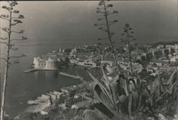 Dubrovnik, Yugoslavia - View from above with agave plants Postcard