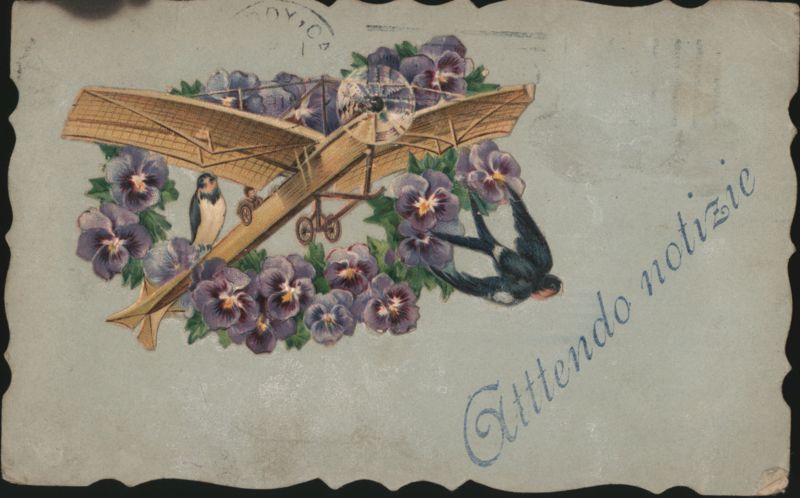 Biplane with Purple Pansies and Swallows, 'Attendo notizie'