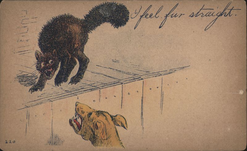 Cat with fur bristling at dog, I feel fur straight