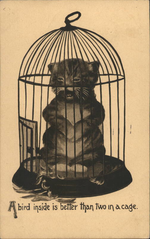 Kitten in Birdcage, 'A bird inside is better than two in a cage'