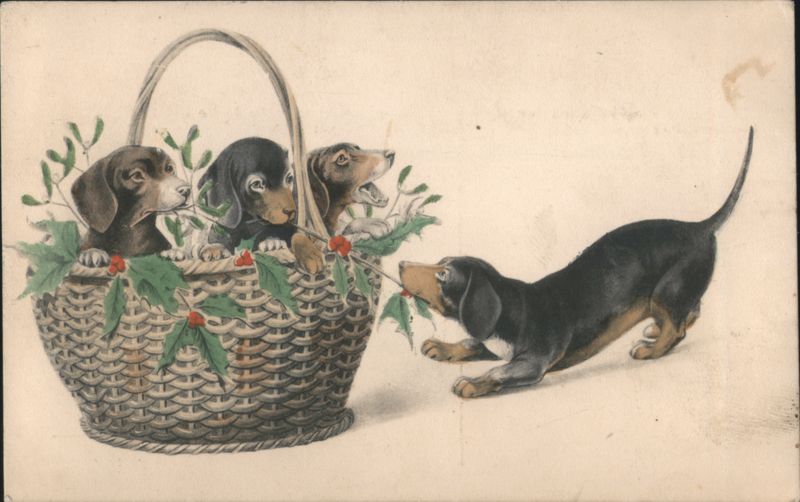 Dachshund Puppies in Basket with Holly, One Playing with Sprig