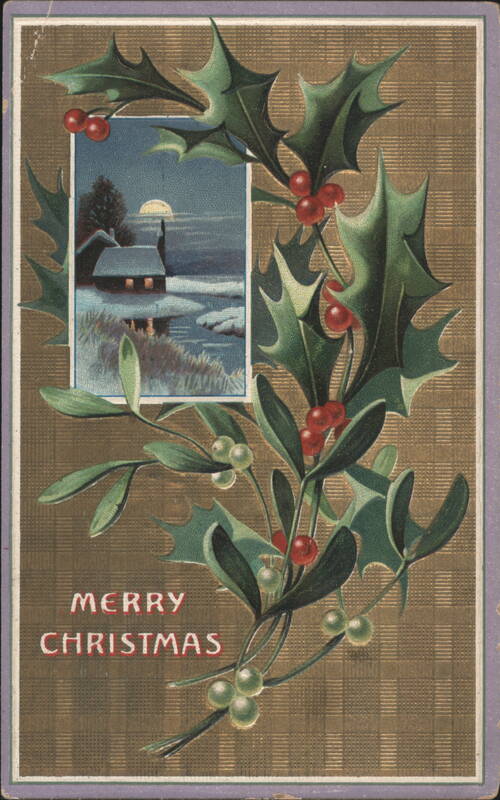 Merry Christmas Holly Mistletoe Snowy Winter Scene