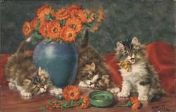 Three Kittens with Orange Flowers and Blue Vase Postcard