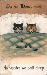 On the Honeymoon. No wonder we can't sleep. Postcard