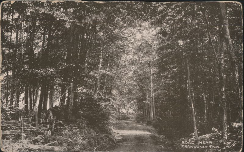 Road Near Franconia Inn, Forested Path, New Hampshire