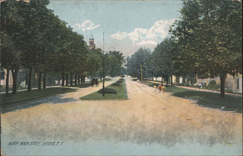 North Main Street, Tree-Lined, Horse & Carriage Geneva New York
