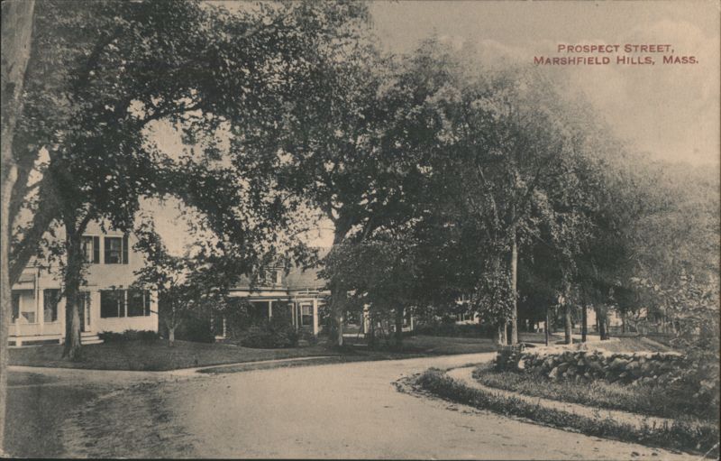 Prospect Street, Marshfield Hills, Tree-lined Road Massachusetts