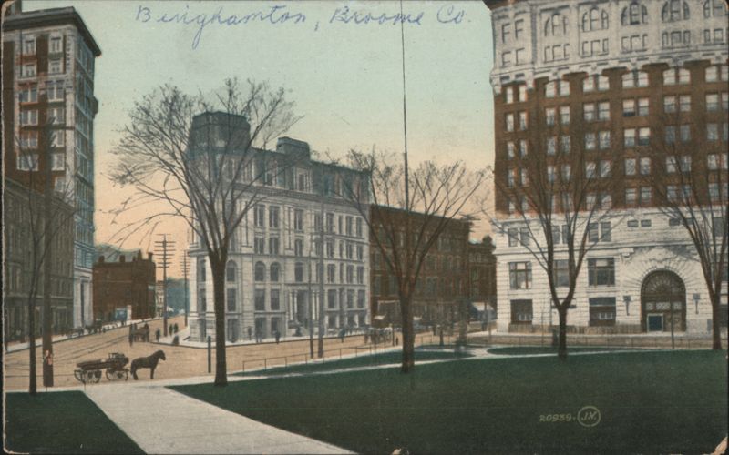 Binghamton City Park & Buildings New York