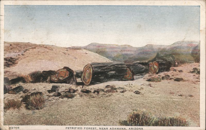 Petrified Forest, Near Adamana, Arizona