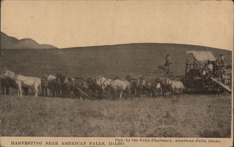 Harvesting Near American Falls, Idaho