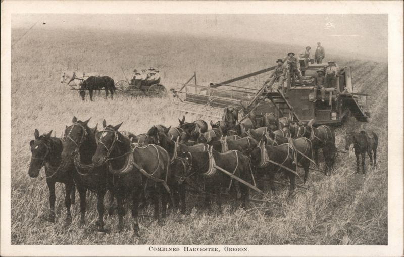 Combined Harvester, Oregon