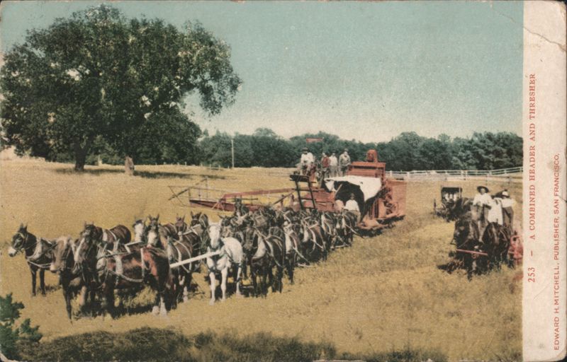 Combined Header & Thresher, Horses, Men, Field Farming