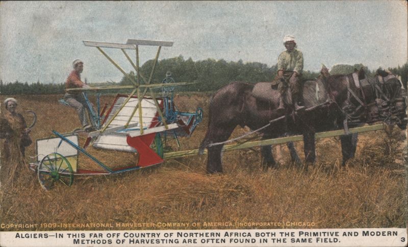 Algiers, Northern Africa - Primitive & Modern Harvesting Algeria