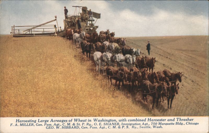 Wheat Harvesting in Washington, Combined Harvester