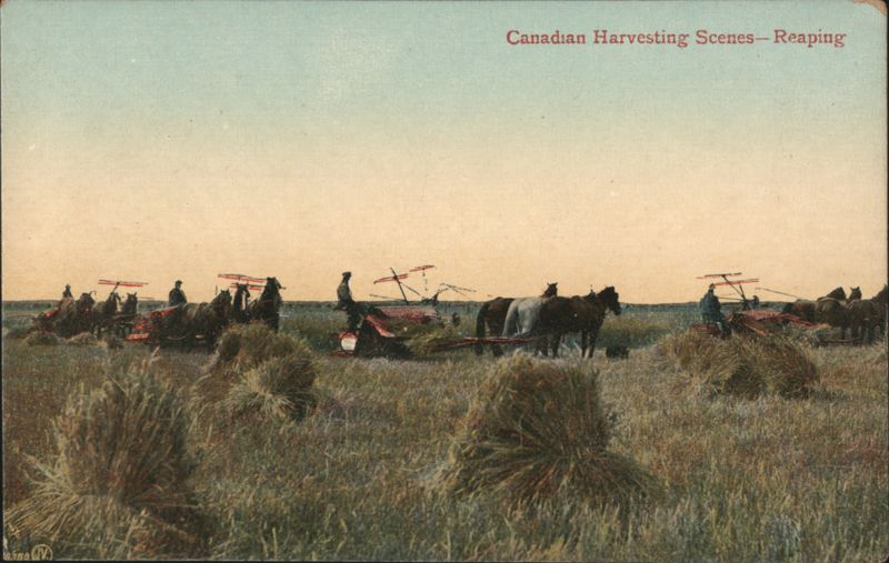 Canadian Harvesting Scenes - Reaping Canada Misc. Canada