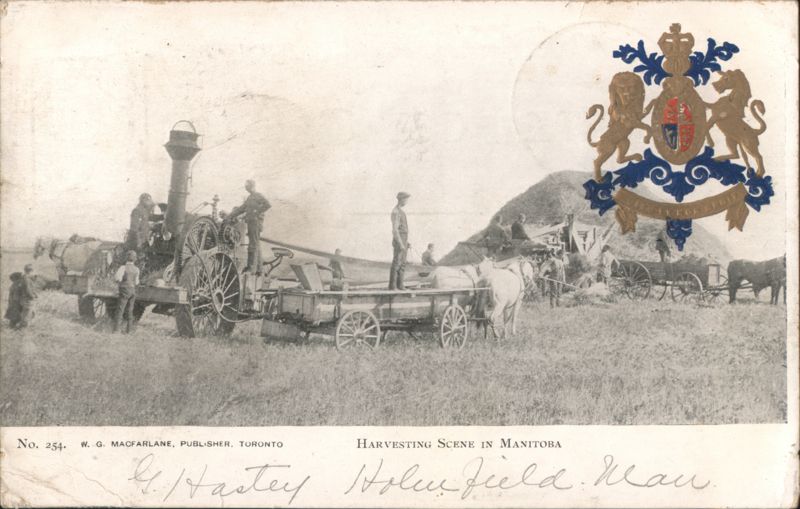 Harvesting Scene, Steam Thresher, Holmfield, Manitoba MB Canada