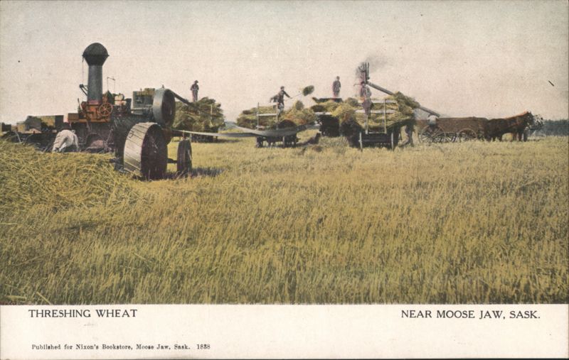 Threshing Wheat with Steam Engine, Moose Jaw, SK Canada
