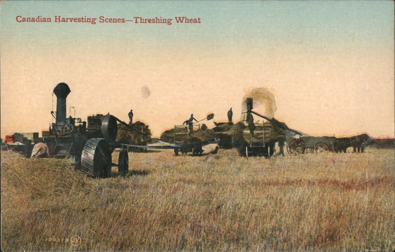 Canadian Harvesting Scenes - Threshing Wheat Farming