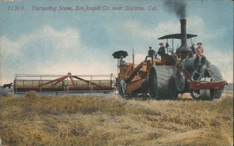 Harvesting Scene, San Joaquín Co. near Stockton California