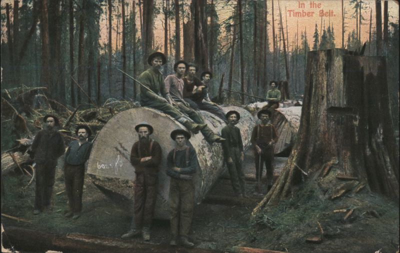 Loggers in the Timber Belt Logging