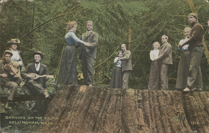 Dancing on the Stump, Lake Whatcom, Bellingham, WA Washington