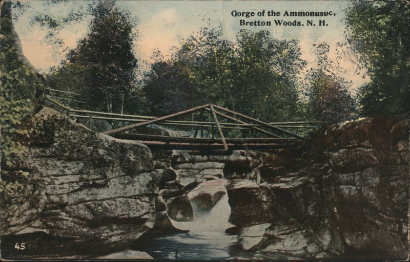 Gorge of the Ammonusuc, Bretton Woods, N. H. New Hampshire