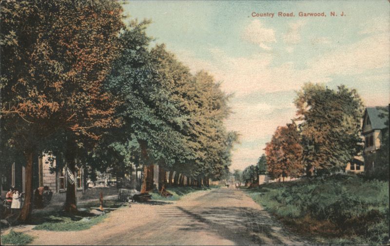 Country Road, Garwood, NJ New Jersey
