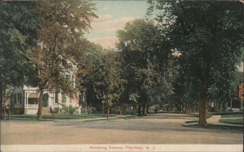 Natchung Avenue, Plainfield, Tree-lined Street New Jersey