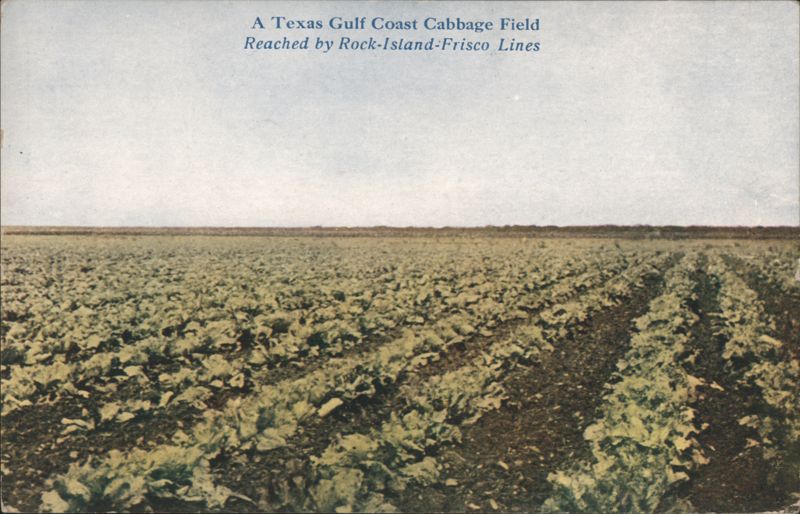 Texas Gulf Coast Cabbage Field - Rock Island-Frisco Lines Brownsville