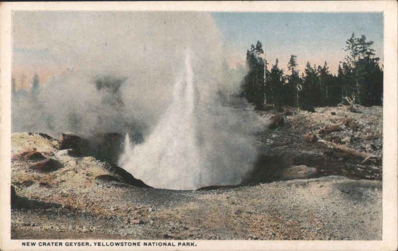 New Crater Geyser, Yellowstone National Park