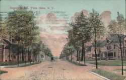 Greenridge Ave, White Plains, NY - Tree-lined Street View Postcard