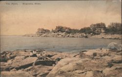 The Point, Magnolia, MA Postcard