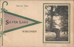 Indian Tree, Silver Lake, Wisconsin Postcard