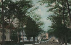 West Elm St. Looking East, Brockton, MA Postcard