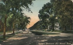 Kingman Boulevard, Tree-Lined Street, Early Autos Postcard