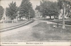 Main Street, Lochmere, NH - Dirt Road & Trees Postcard