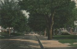 Pleasant St., Spencer, MA - Tree-lined Street Postcard